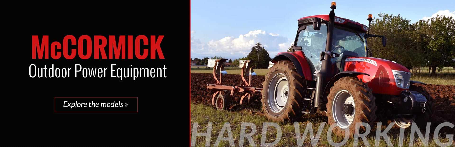McCormick Promo Banner